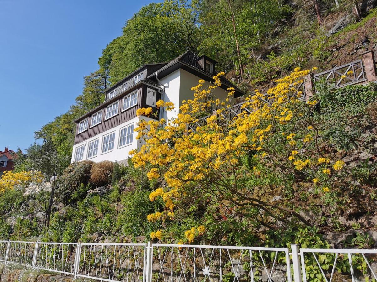 Villa Belvedere Rathen Kültér fotó