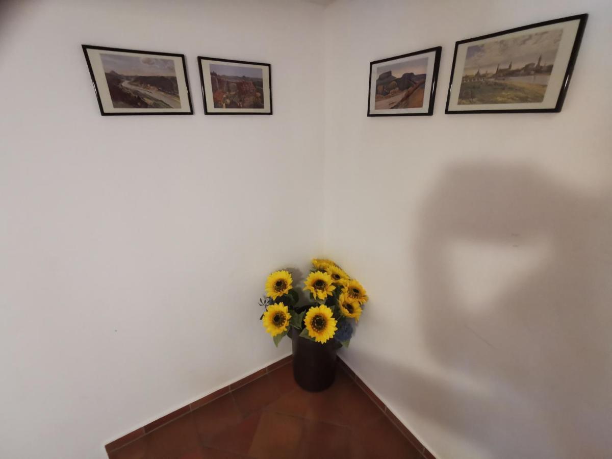 Villa Belvedere Rathen Kültér fotó